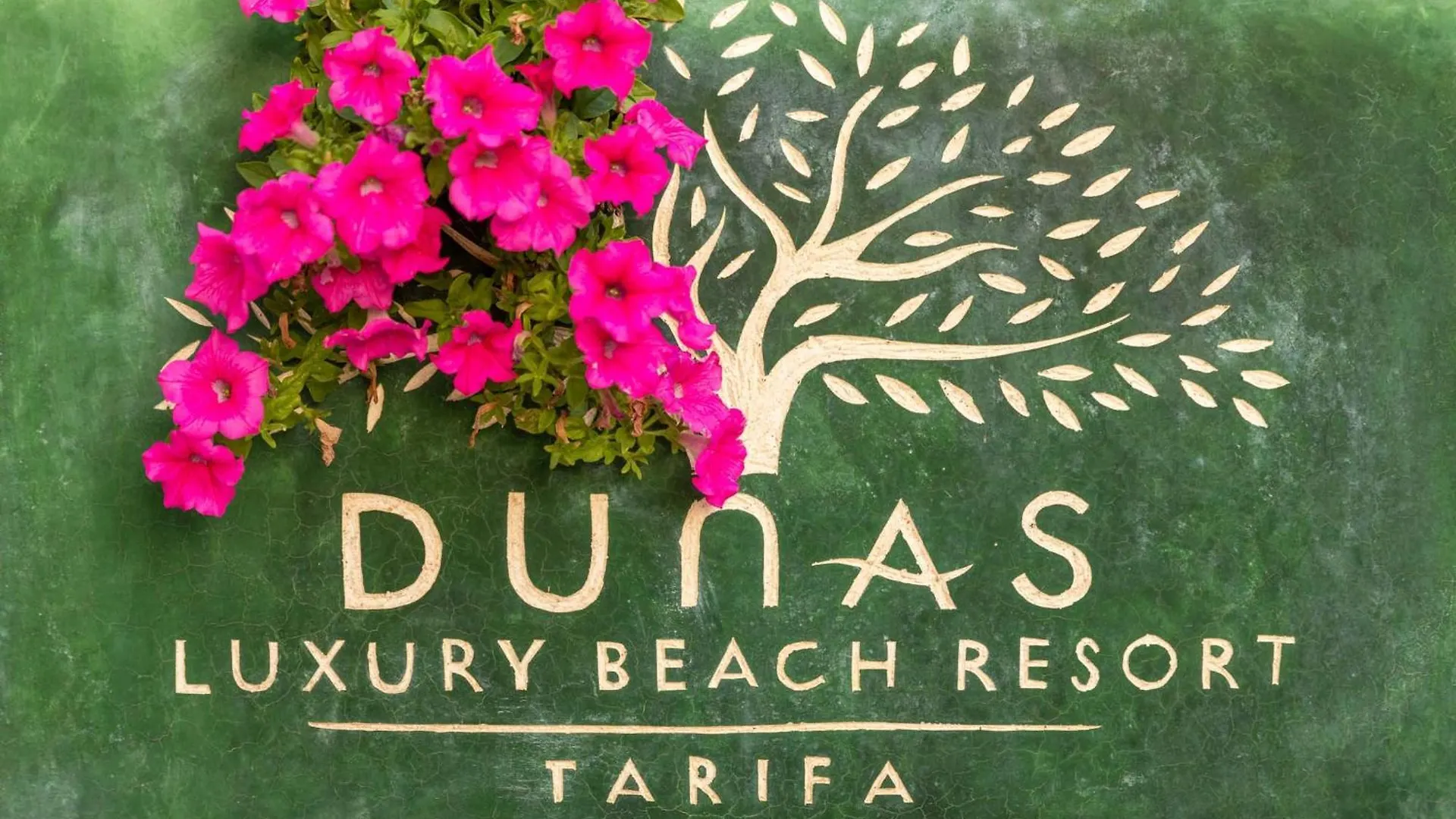 Dunas Luxury Beach Resort Tarifa Spain
