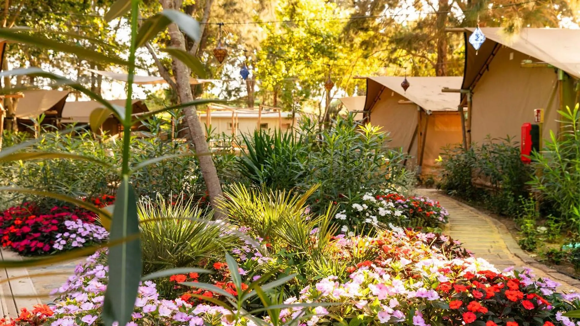 Camping Dunas Luxury Beach Resort Tarifa